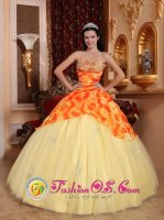 Providence Rhode Island/RI Beaded Decorate Light Yellow Quinceanera Dress With Sweetheart Neckline On Tulle(SKU QDZY729BIZ)