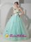 Apple Green Organza Quinceanera Dress With Hand Made Flowers For Celebrity In Ada Oklahoma/OK