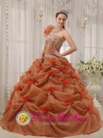 Tiffany & Co Discount One Shoulder Organza Appliques Decorate Up Bodice Rust Red Quinceanera Dress For Gaylord Michigan/MI Hand Made Flower Decorate[QDZY302-HBIZ]